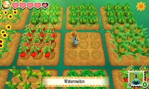 StoryofSeasons3
